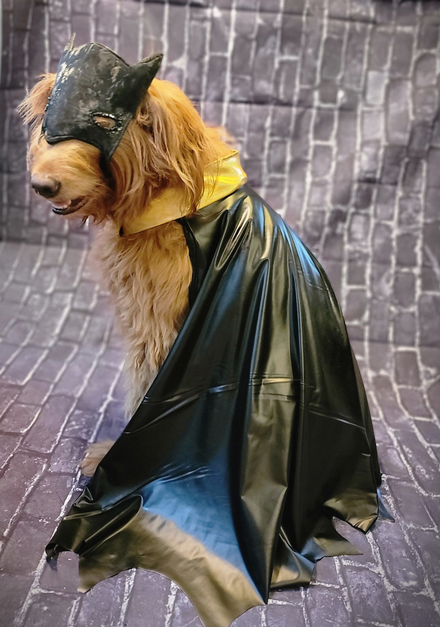 Batman pet costume, Batman dog costume, Batman cat costume, Batman pet cape, Batman Halloween costume, pet Batman, dog Batman costume