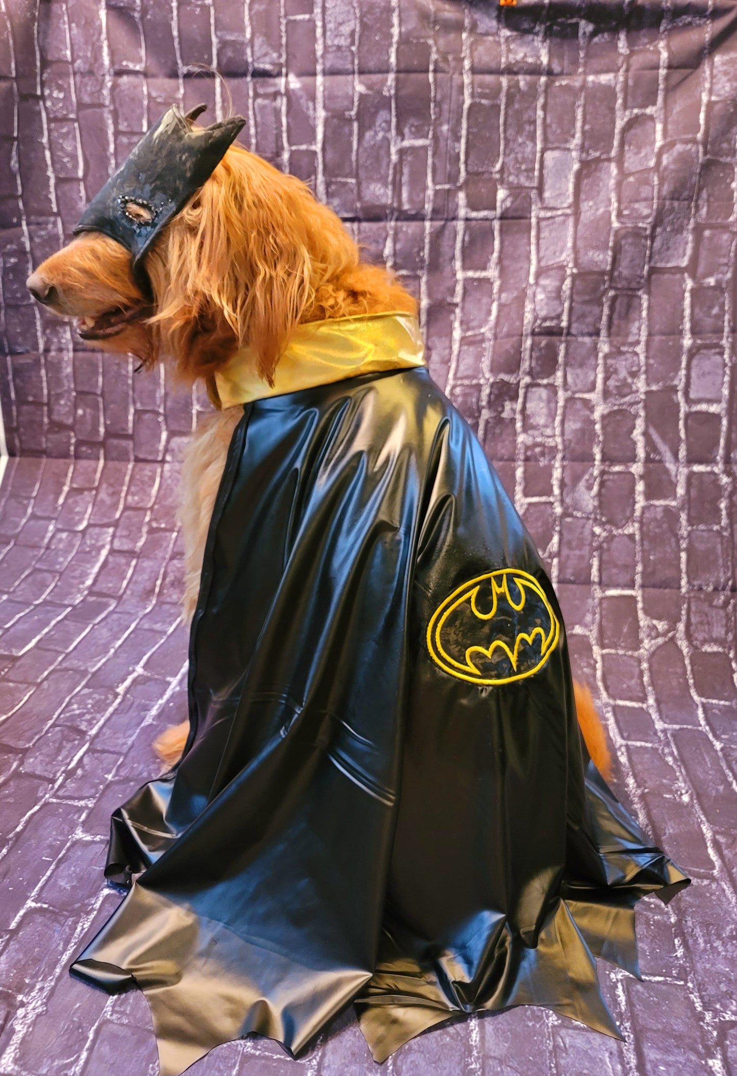 Batman pet costume, Batman dog costume, Batman cat costume, Batman pet cape, Batman Halloween costume, pet Batman, dog Batman costume