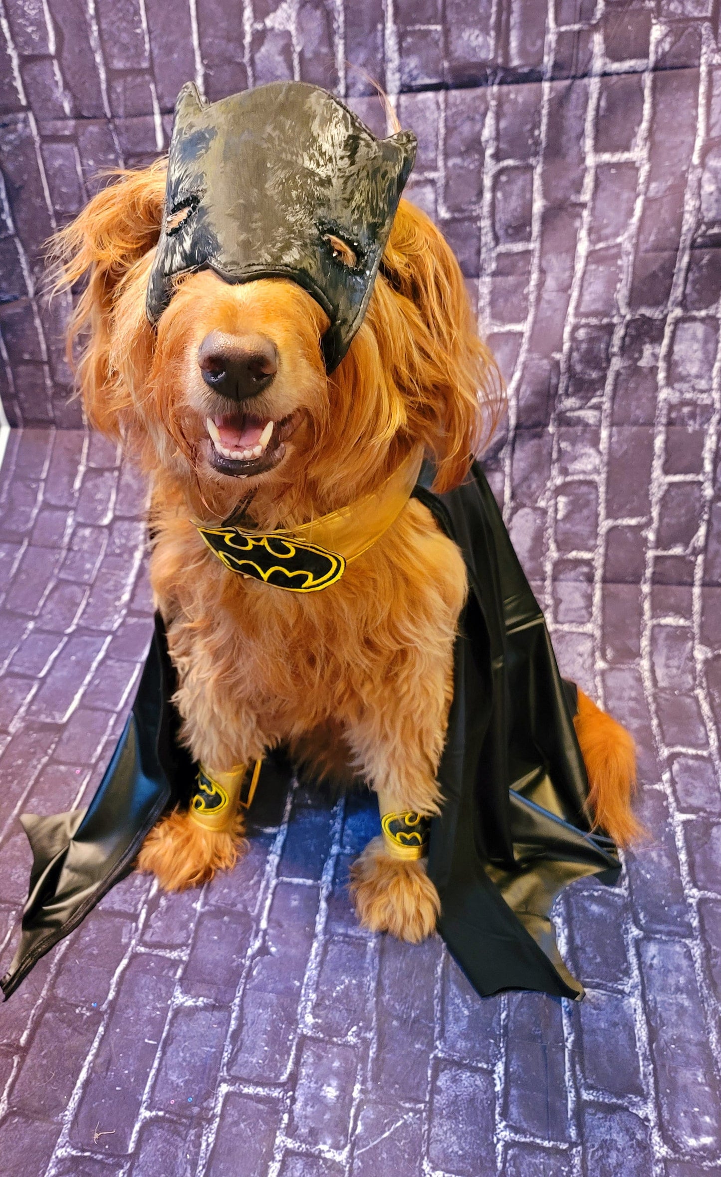 Batman pet costume, Batman dog costume, Batman cat costume, Batman pet cape, Batman Halloween costume, pet Batman, dog Batman costume