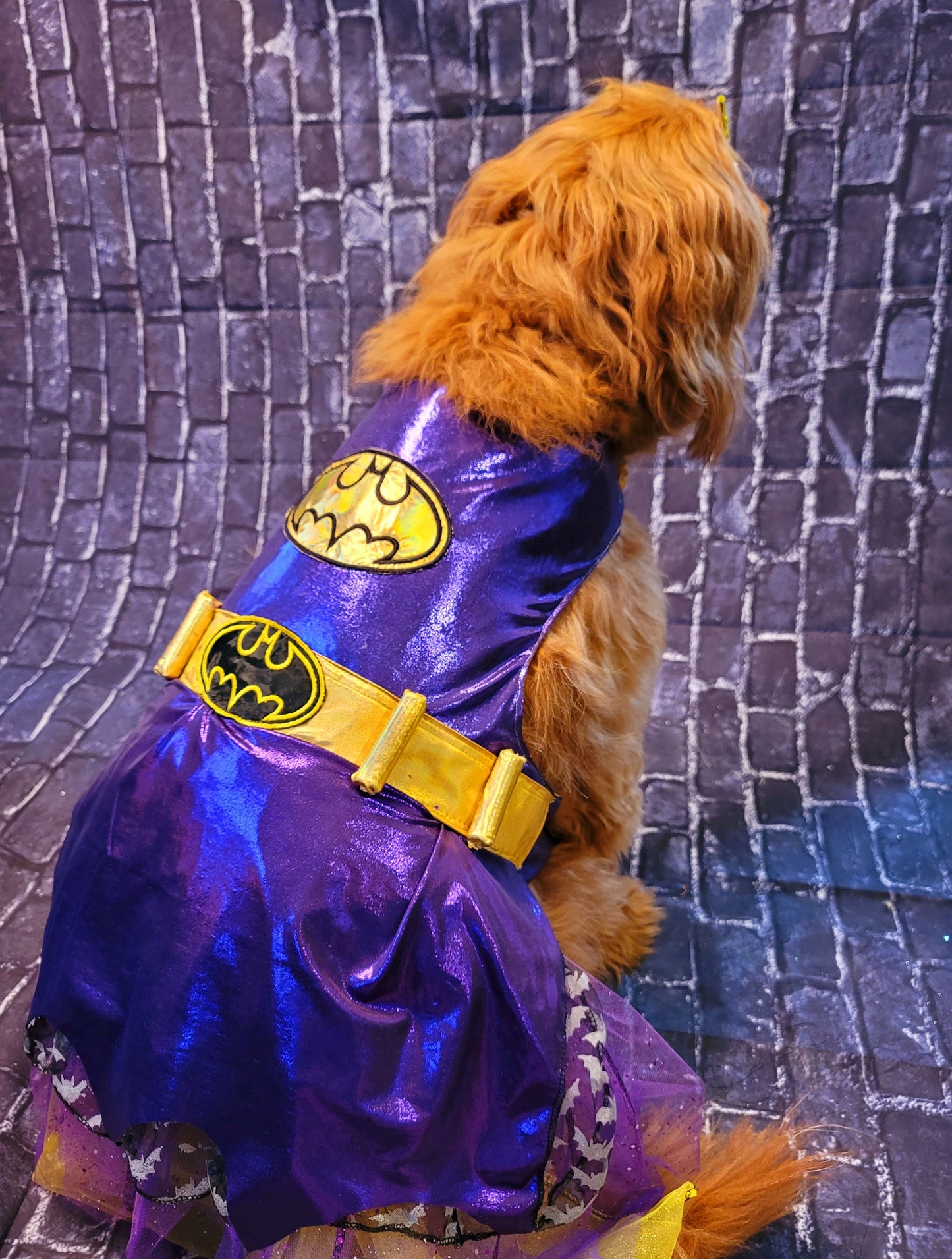 Batgirl pet costume, Batgirl dog costume, Batgirl cat costume, Batgirl pet cape, Batgirl Halloween costume, pet Batgirl, dog Batgirl costume