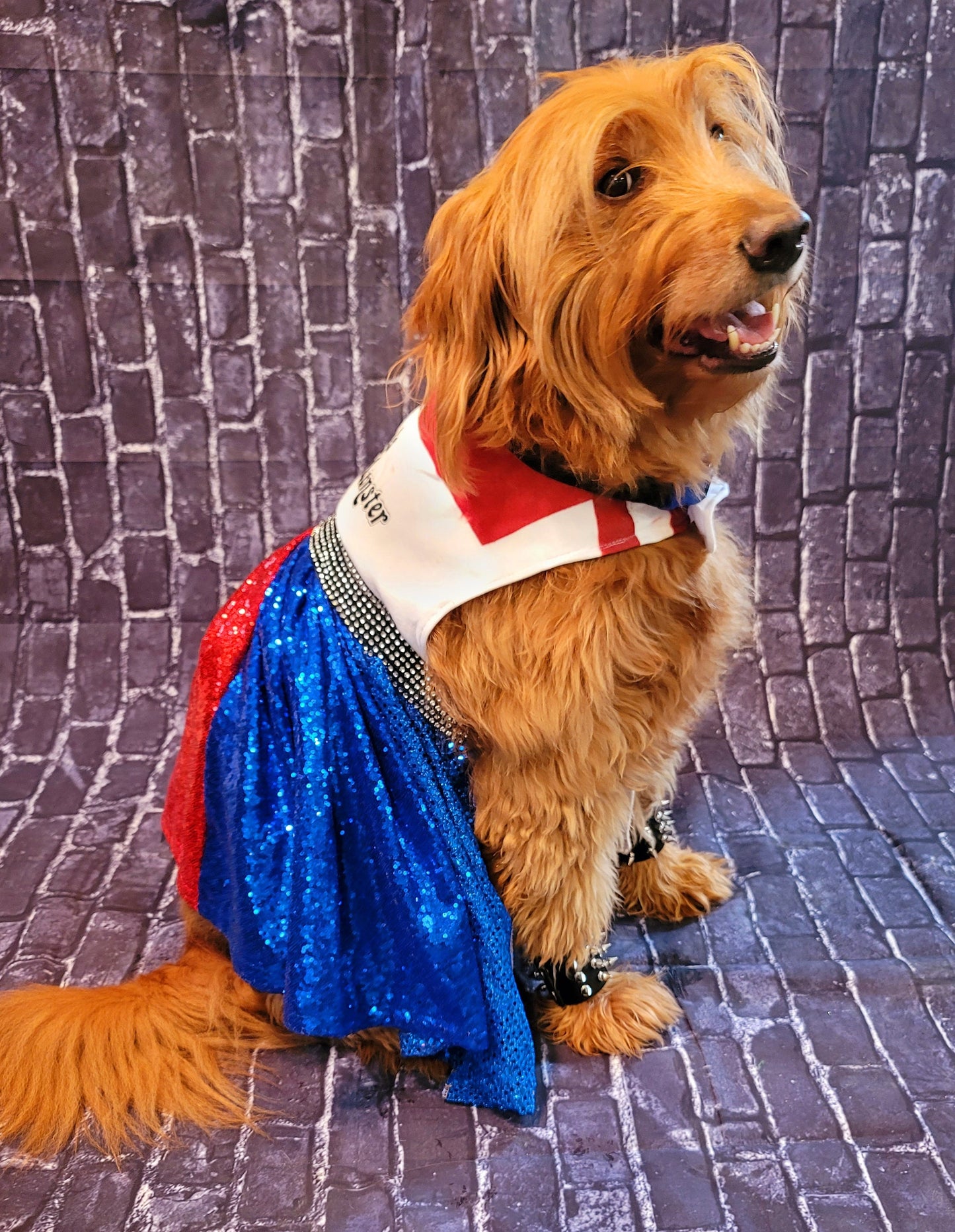 - Harley Quinn pet costume, Harley Quinn sequin dog costume, Harley Quinn Cat costume