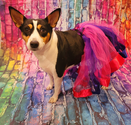 Pet Tutu, Dog Tutu, Cat Tutu, pet birthday tutu, pet skirt, dog skirt, cat skirt, tulle pet skirt, tulle dog skirt, tulle cat skirt