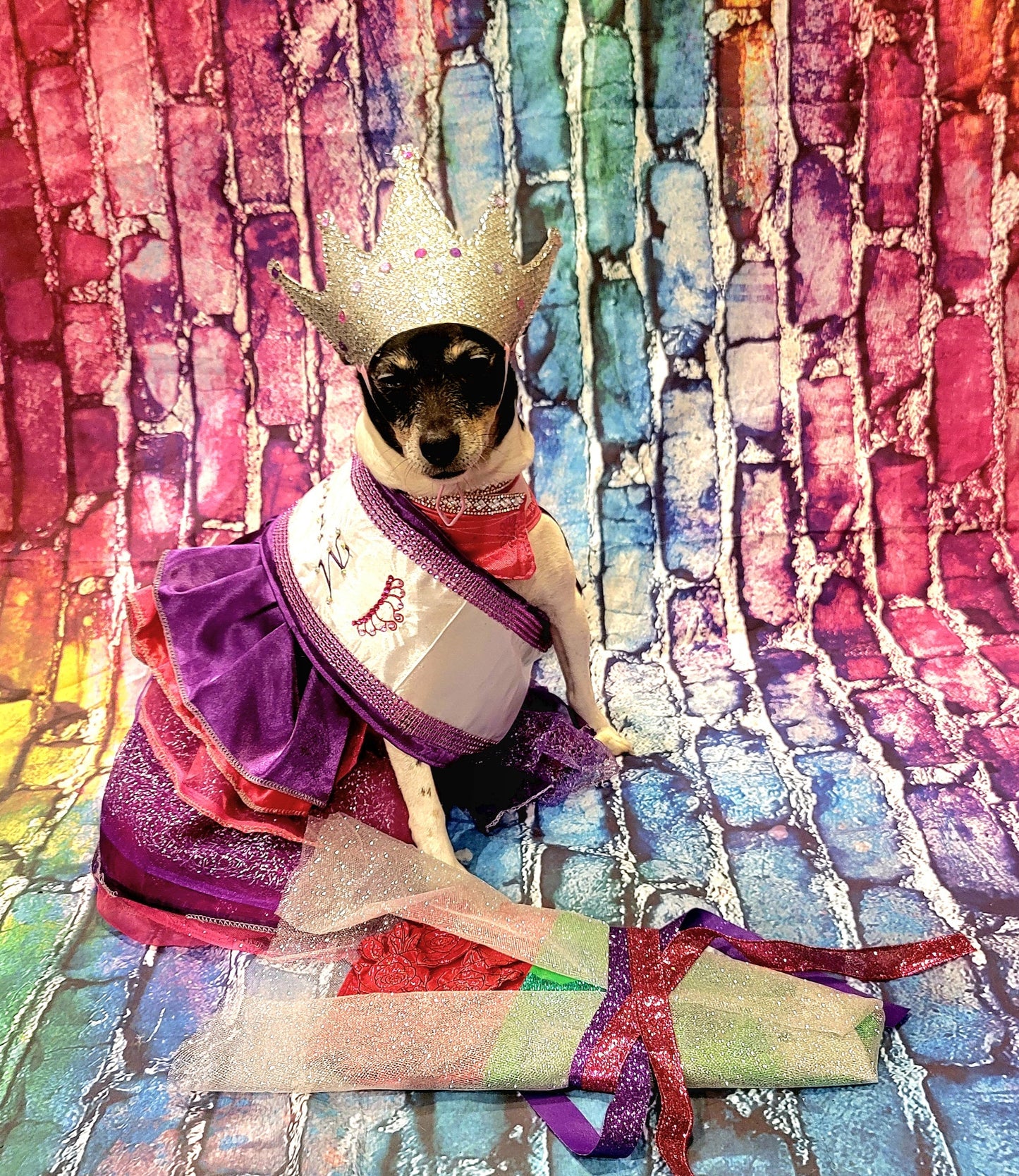 Miss America Pet Costume, Pagent Pet Costume, Princess Pet Costume, Miss America Dog Costume, Cat Costume, Princess Dog Dress, Queen Pet
