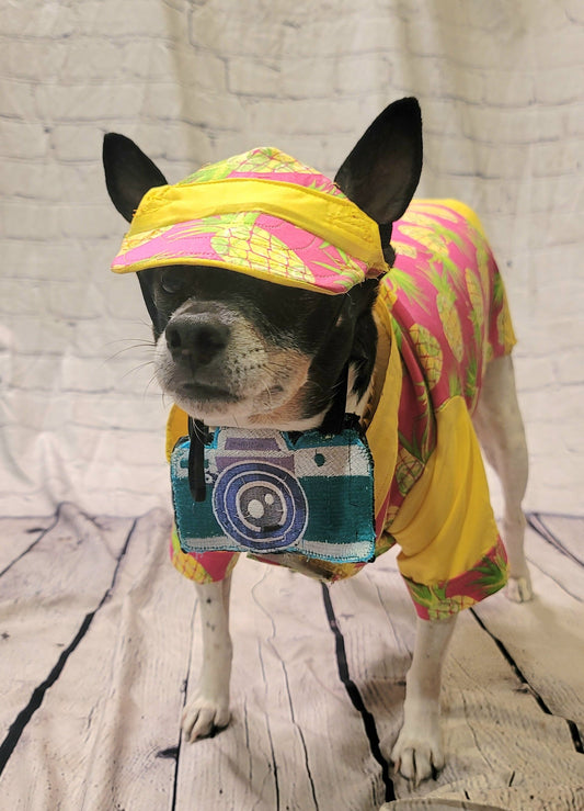 Pet tourist costume, dog tourist costume, pineapple pet shirt, Hawaiian pet costume clothing, male tourist costume, clothes for dogs