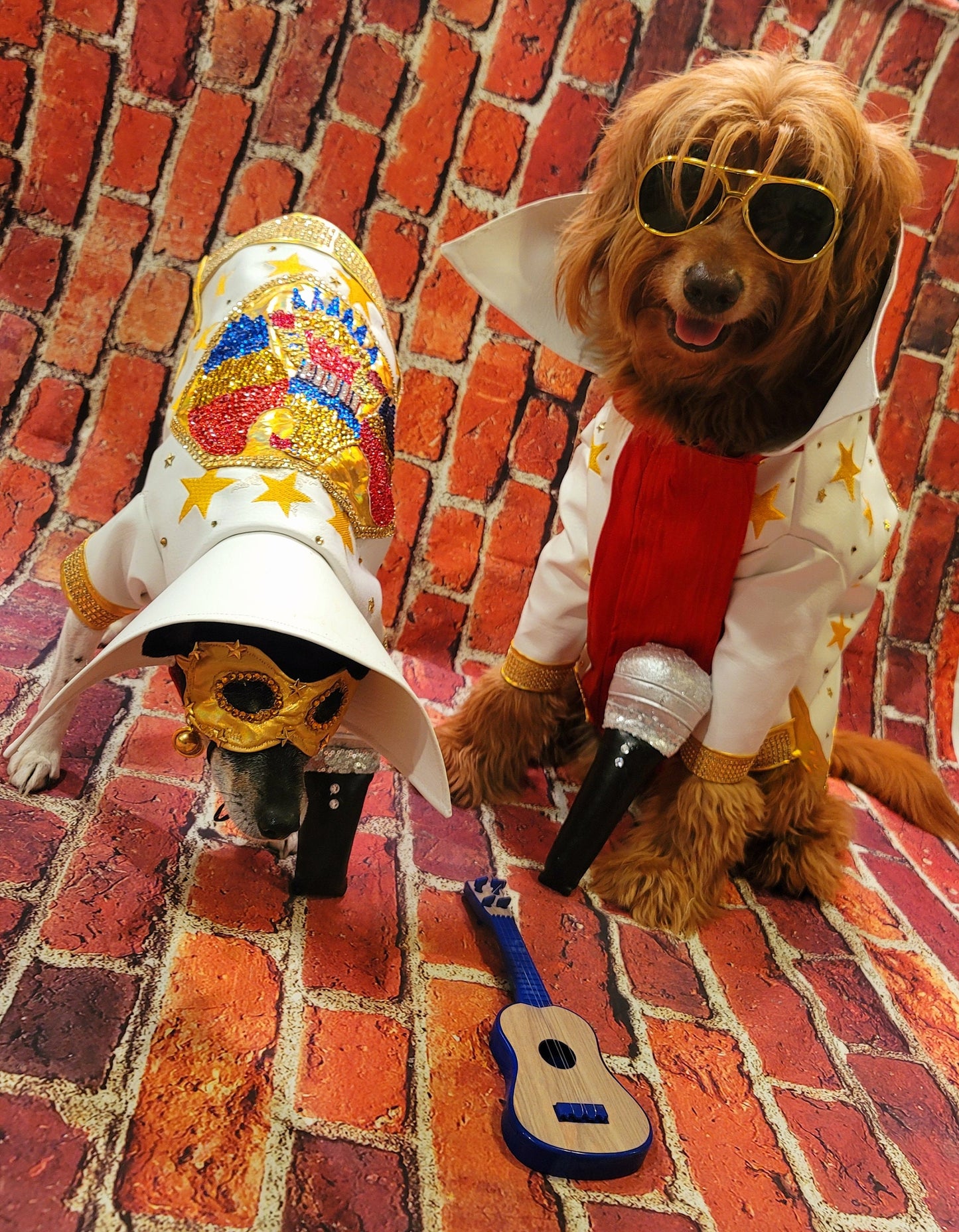 - Elvis pet costume, Elvis eagle pet jacket costume