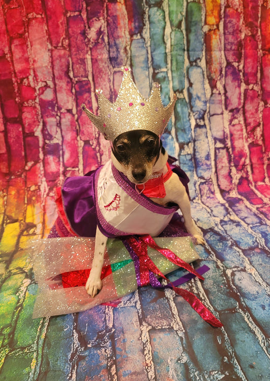 Miss America Pet Costume, Pagent Pet Costume, Princess Pet Costume, Miss America Dog Costume, Cat Costume, Princess Dog Dress, Queen Pet