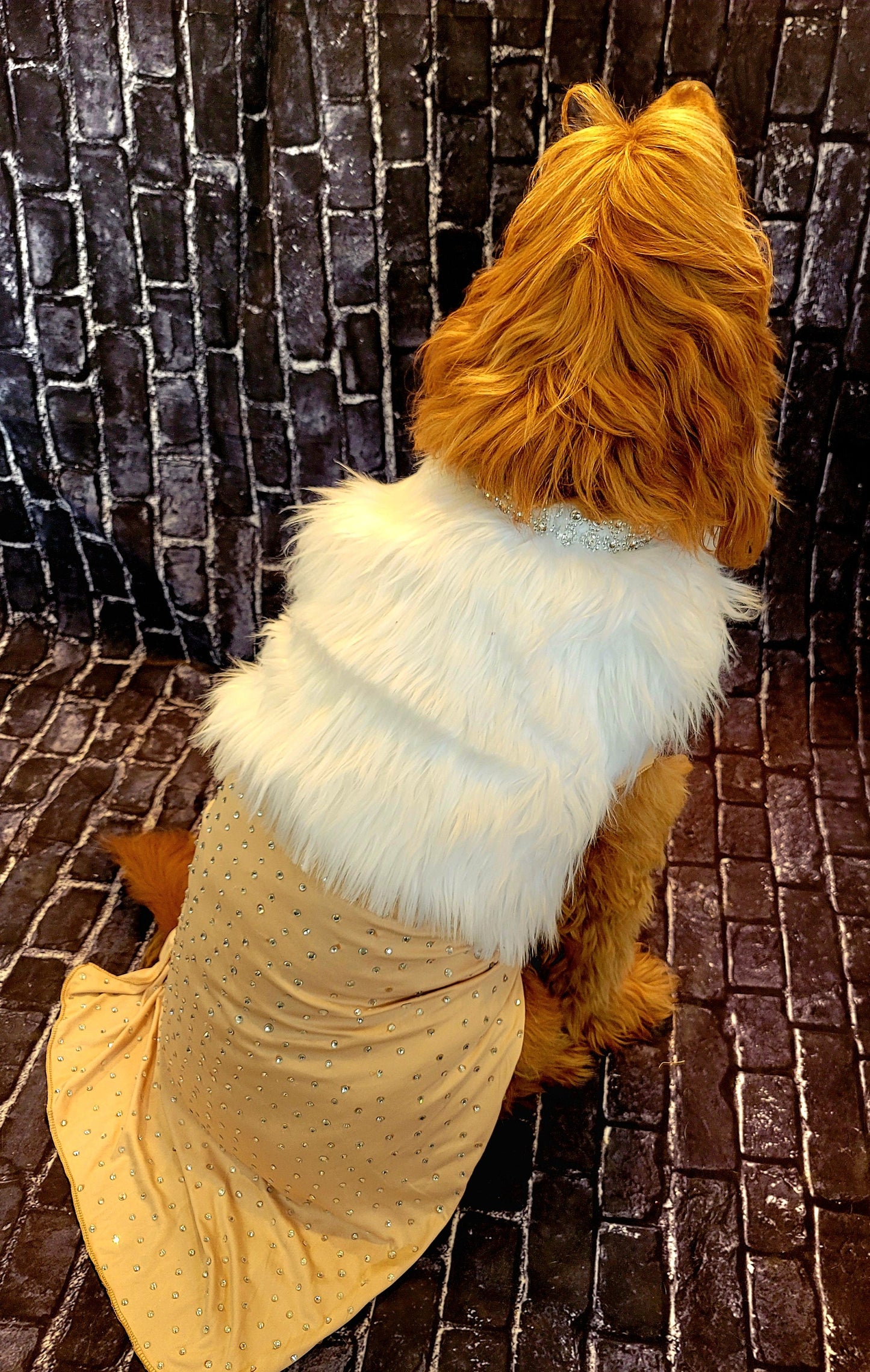 Marilyn Monroe Pet costume, Marilyn Monroe Happy Birthday Mr. President pet dress, Marilyn Monroe dog costume gold dress, pet cat costume