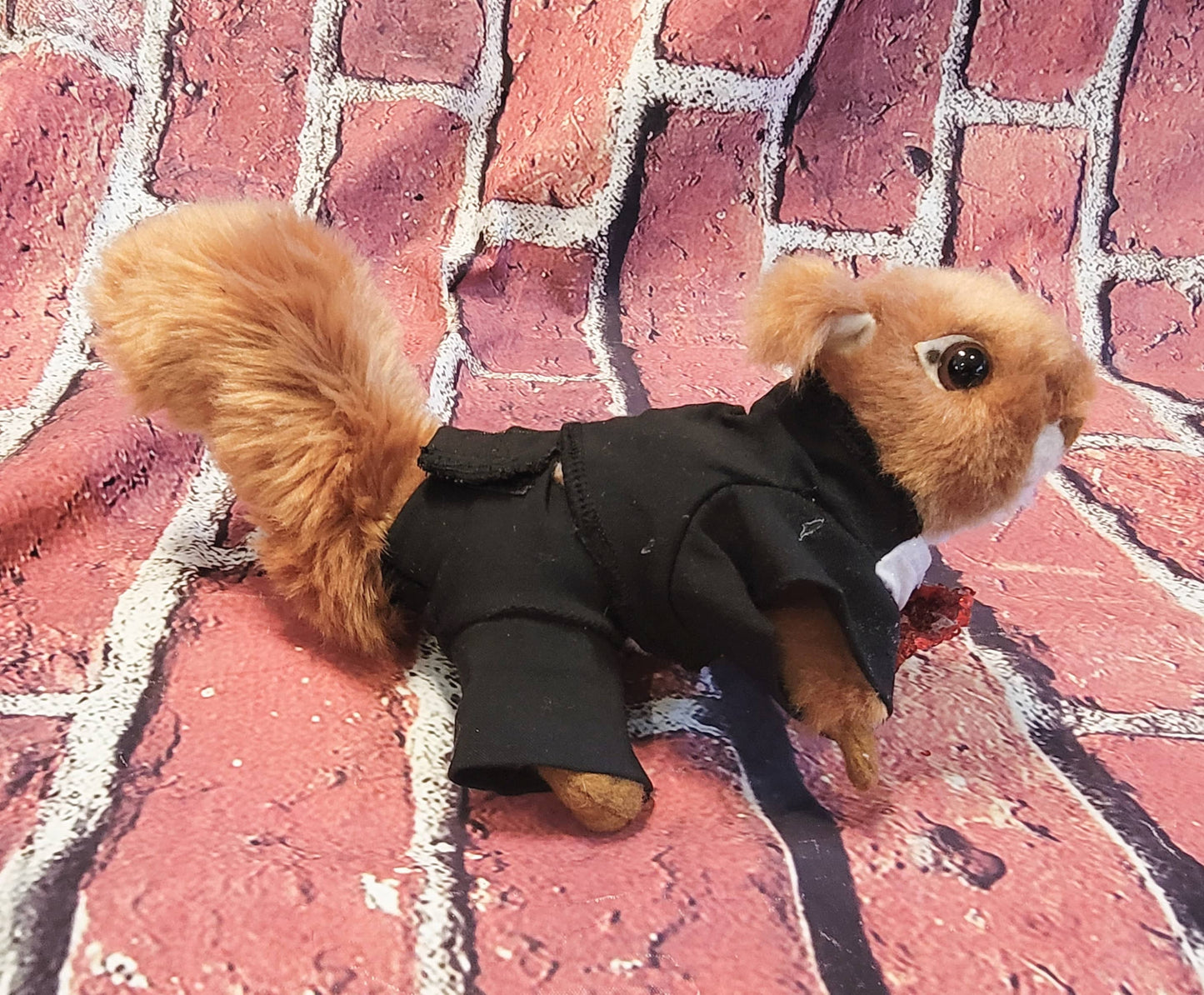 Squirrel Tuxedo, Tuxedo for squirrels, Tuxedo for exotic animals, pet Tuxedo, squirrel clothes