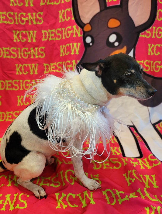 Pet feather epaulettes, dog feather epaulettes, Elton John pet feather epaulettes, Elton John dog feather epaulettes, cat feather epaulette