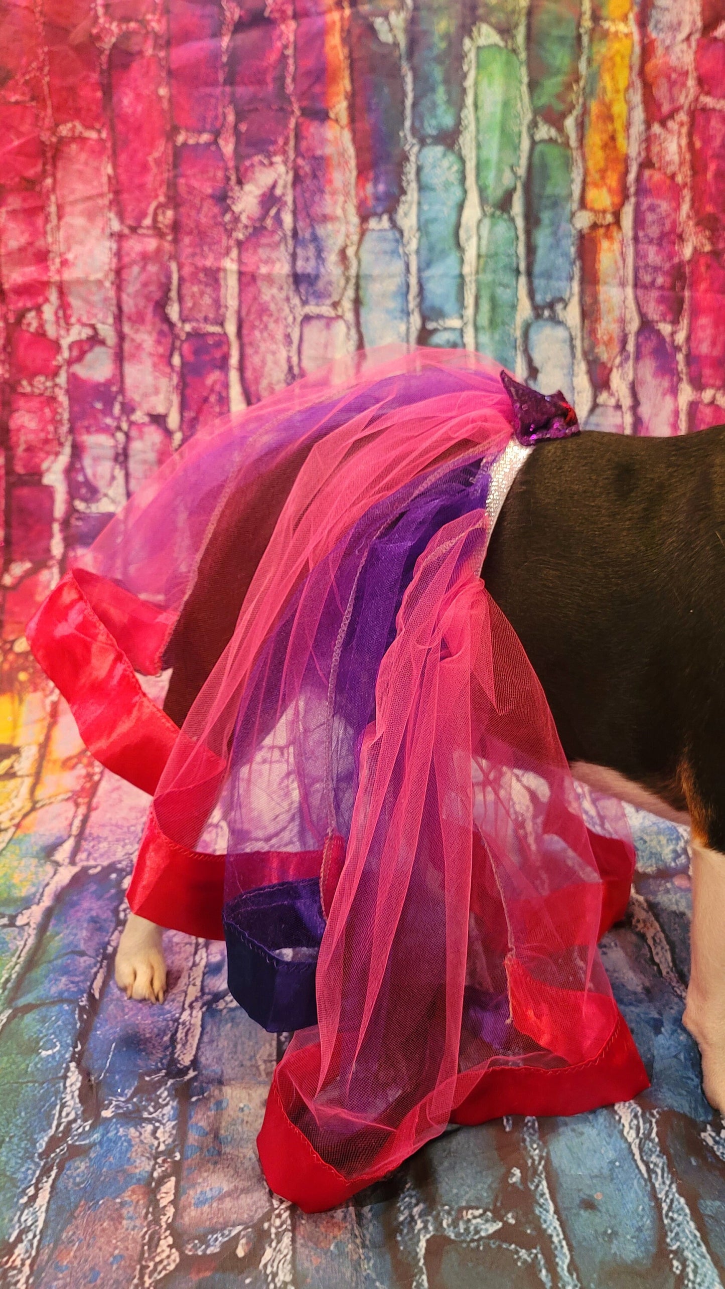 Pet Tutu, Dog Tutu, Cat Tutu, pet birthday tutu, pet skirt, dog skirt, cat skirt, tulle pet skirt, tulle dog skirt, tulle cat skirt