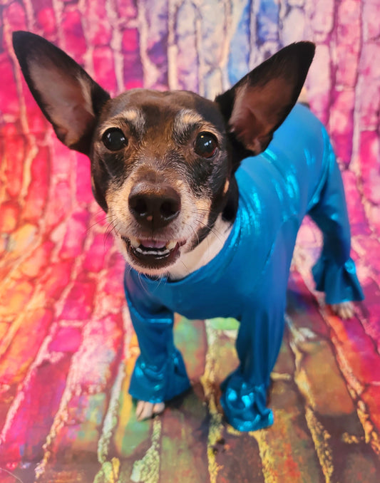 - Stretch pet body suit, metallic pet body suit, Stretch dog body suit, Stretch cat body suit, metallic dog body suit, bell bottom pet suit