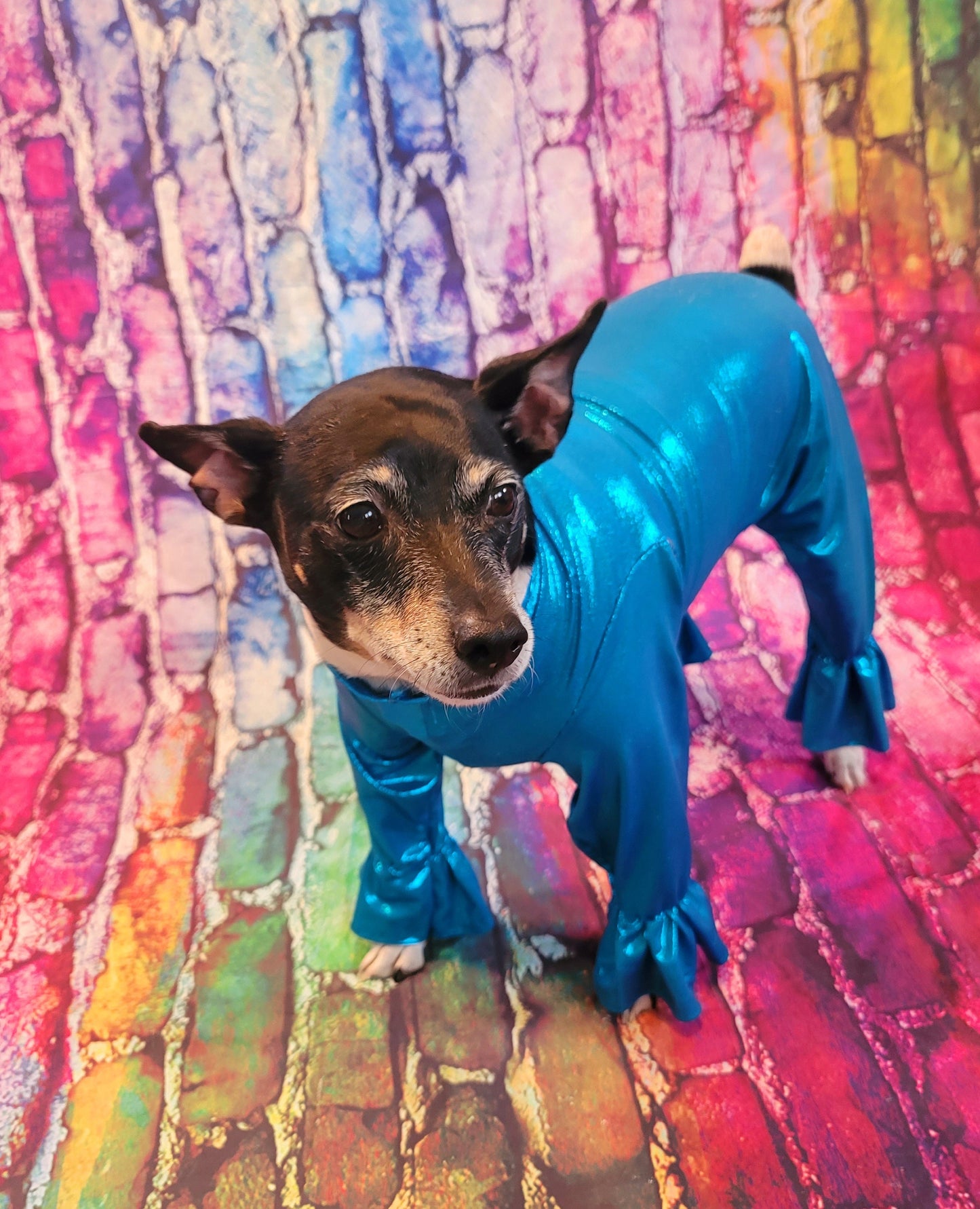 - Stretch pet body suit, metallic pet body suit, Stretch dog body suit, Stretch cat body suit, metallic dog body suit, bell bottom pet suit