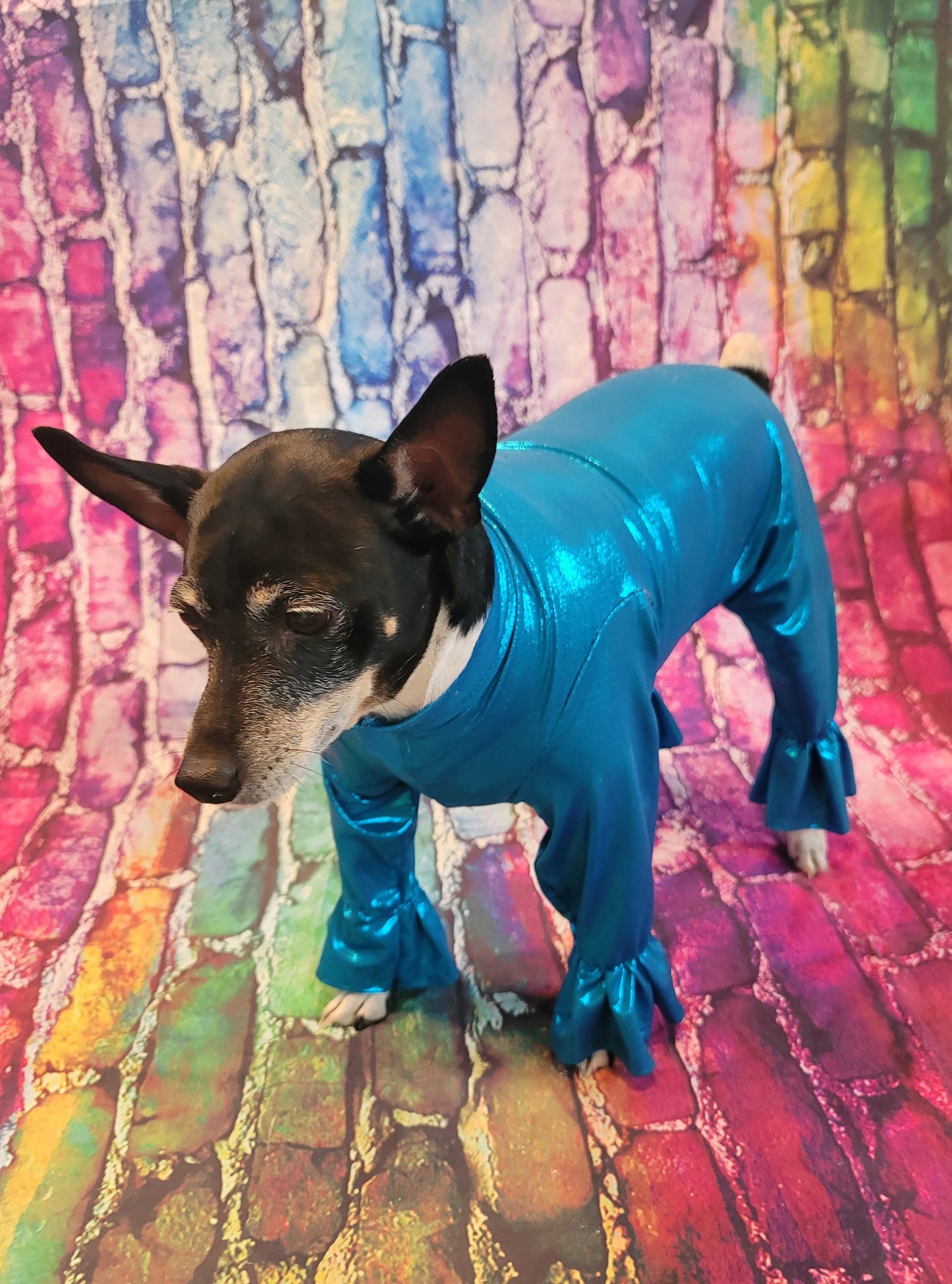 - Stretch pet body suit, metallic pet body suit, Stretch dog body suit, Stretch cat body suit, metallic dog body suit, bell bottom pet suit