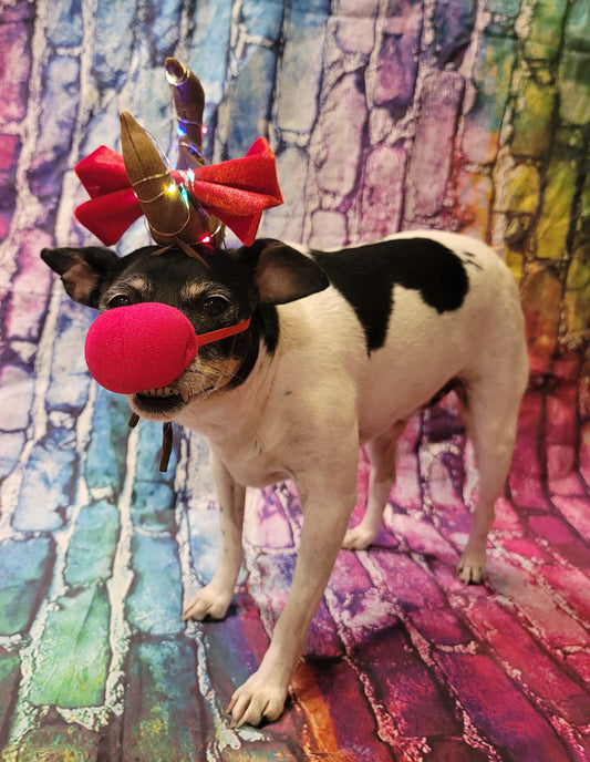 Max the Grinch pet antlers, Max the grinch that stole Christmas dog antlers, light up pet antlers, cat antlers, The Grinch Max antlers