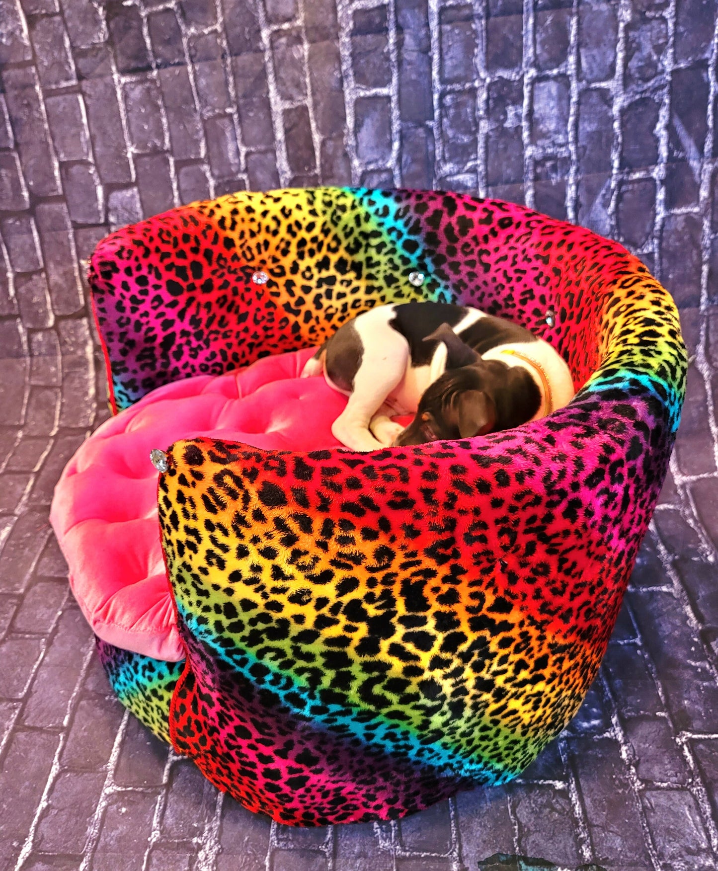 Rainbow Leopard Round Luxury high back kid, cat, pet chair bed, pet furniture, parson Pet Chair, dog furniture, cat furniture