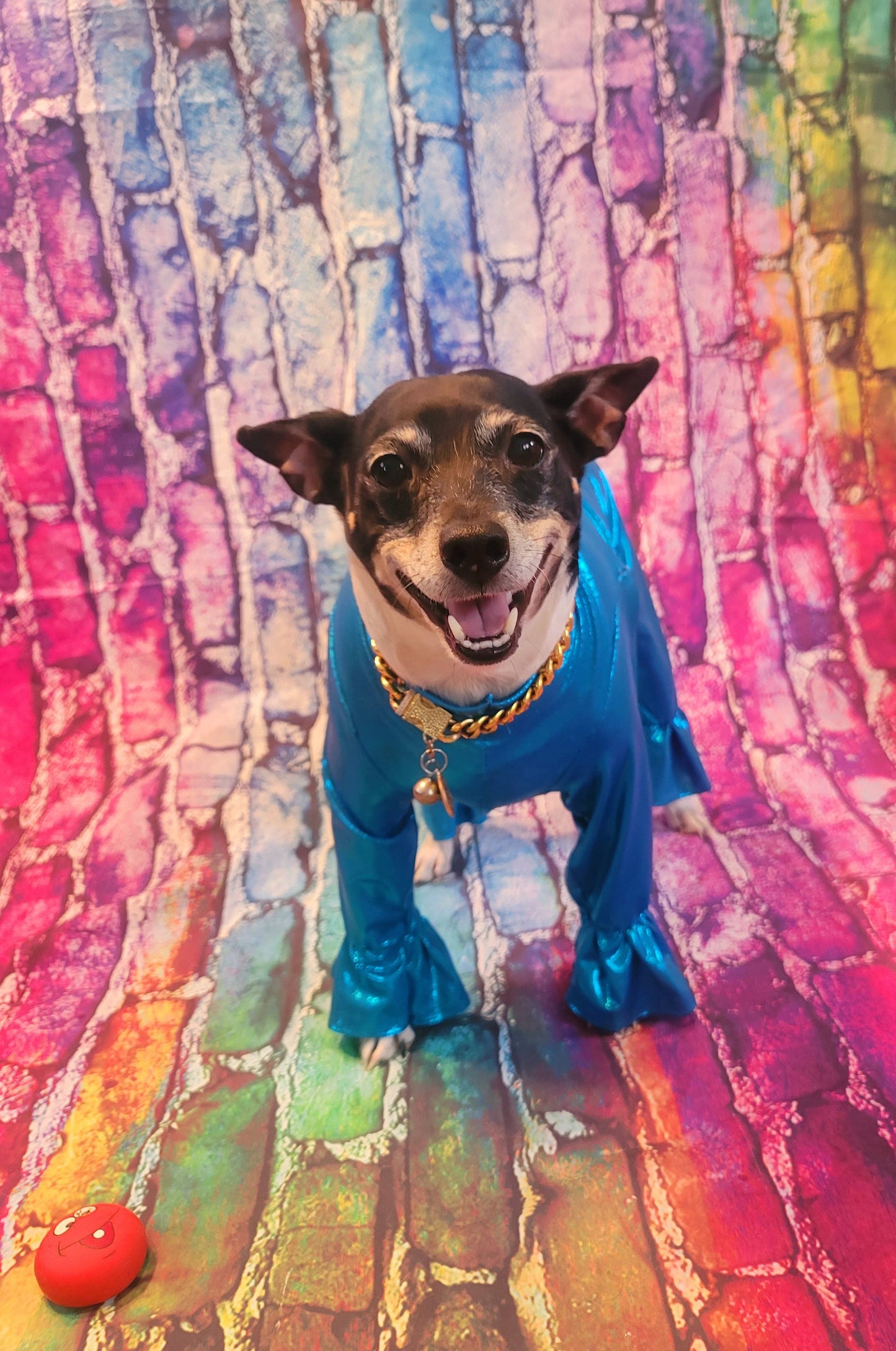 - Stretch pet body suit, metallic pet body suit, Stretch dog body suit, Stretch cat body suit, metallic dog body suit, bell bottom pet suit