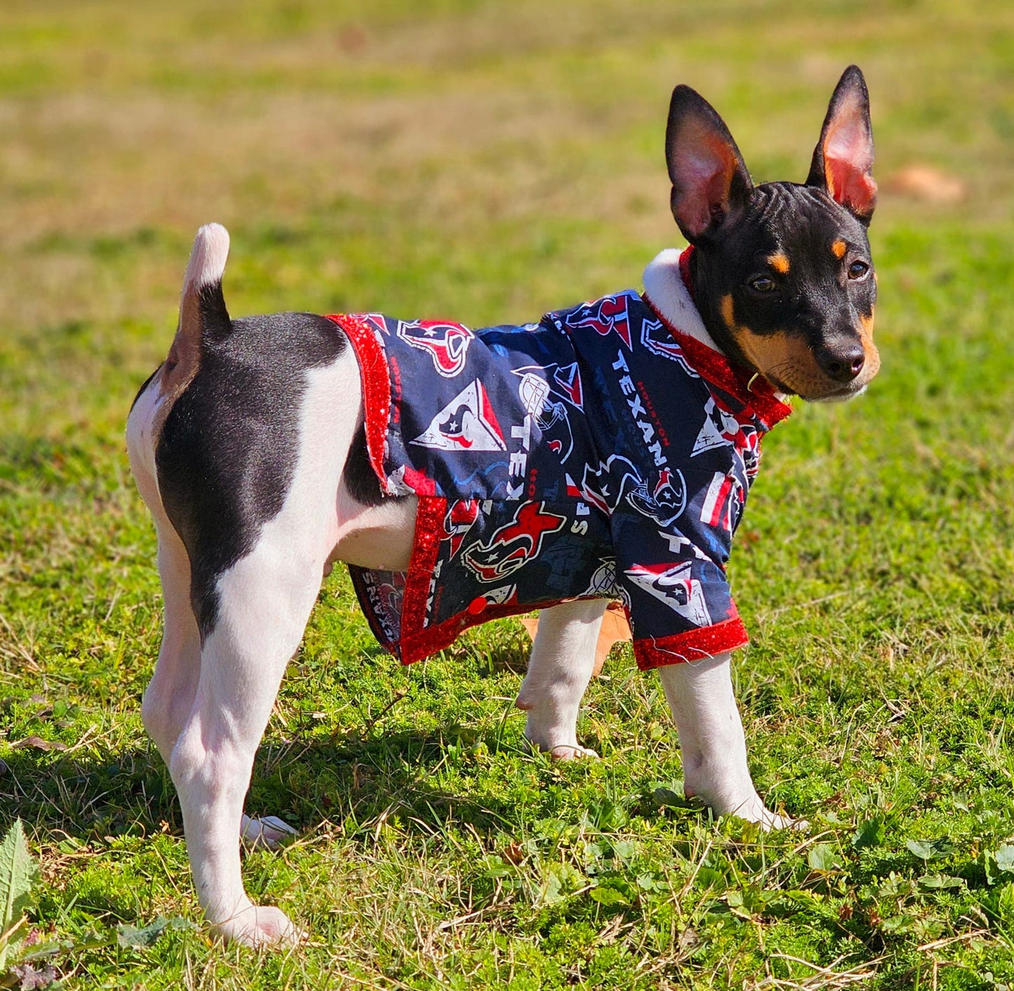 NFL pet shirt, NFL dog shirt, Houston Texans Pet shirt, Houston Texans dog shirt, pet football shirt, dog football shirt, Playoff pet shirt