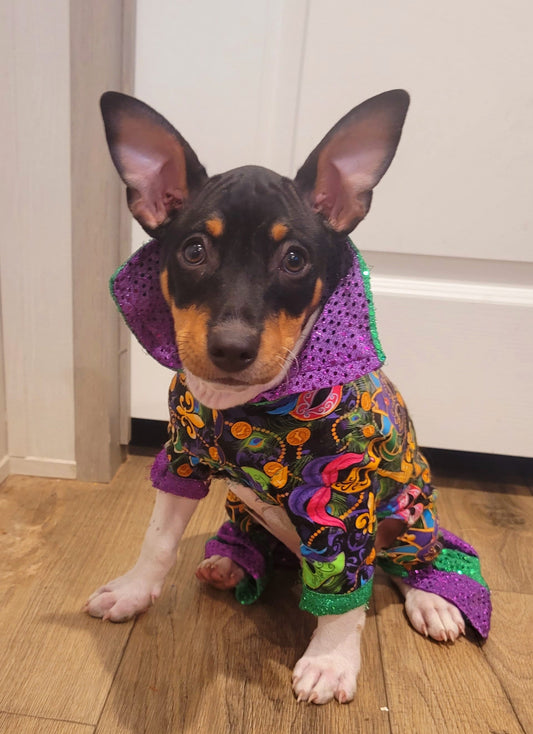 Mardi Gras male pet outfit, Mardi Gras Pet body suit, Fat Tuesday dog costume, Mardi Gras dog costume, Mardi Gras Cat, Mardi Gras suit