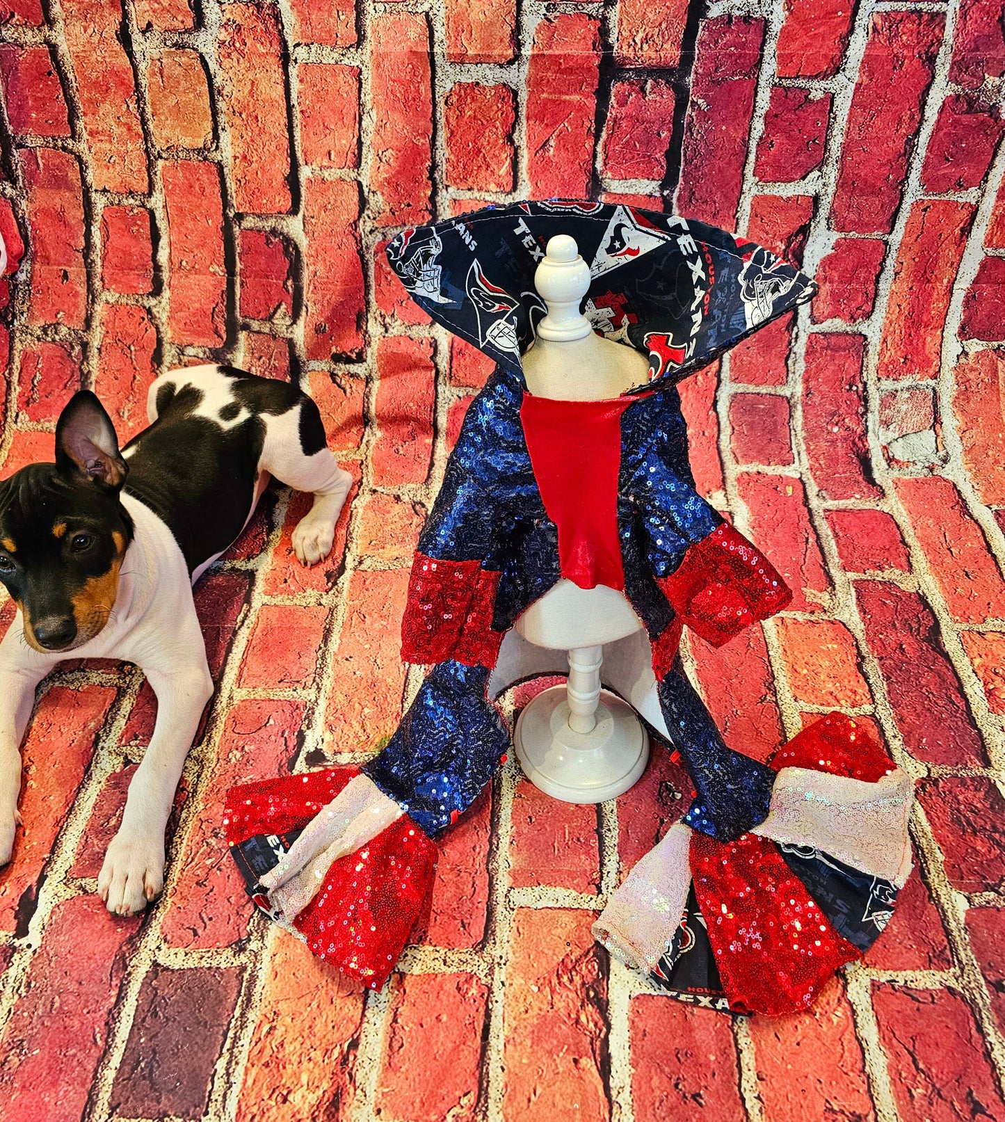 Houston Texans sequin pet suit, Texans Pet clothes, NFL sequin pet clothes, playoff pet clothes, sequin pet suit, NFL dog suit, dog texans