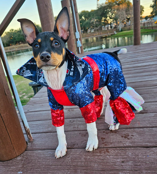 Houston Texans sequin pet suit, Texans Pet clothes, NFL sequin pet clothes, playoff pet clothes, sequin pet suit, NFL dog suit, dog texans