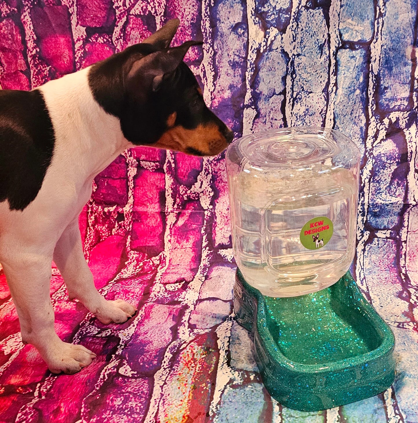 Glitter Gravity Bowl Pet Dog Cat Bowl, automatic Feeder, large pet bowl, gravity cat bowl, Personalize Pet Bowls, cat water bowl, dog water