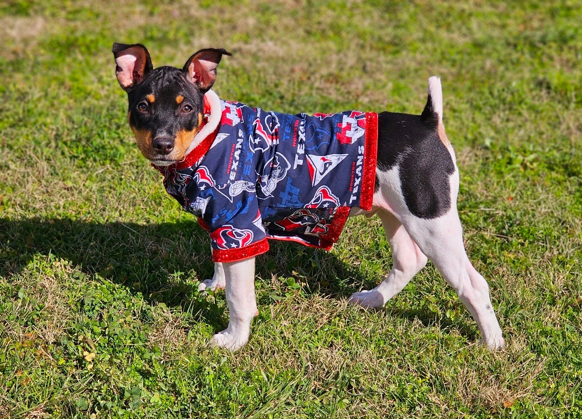 NFL pet shirt, NFL dog shirt, Houston Texans Pet shirt, Houston Texans dog shirt, pet football shirt, dog football shirt, Playoff pet shirt