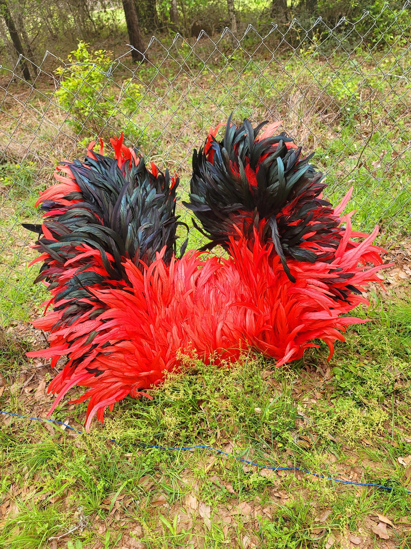 - Feather pet wings, dog Feather wings, devil pet wings, angel pet wings, pet epaulets for costumes, pet costume wings, dog costume wings