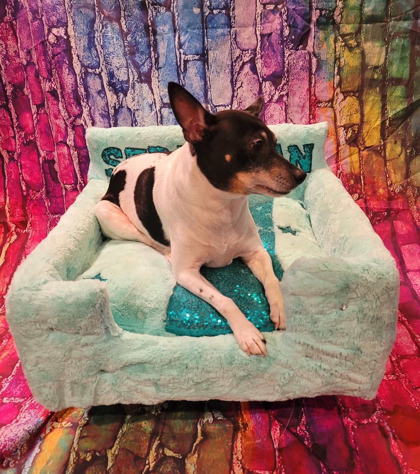 Luxury pet bed, personalized sequin pet bed, personalized pet furniture, acrylic pet bed, pet bed with legs, dog luxury bed