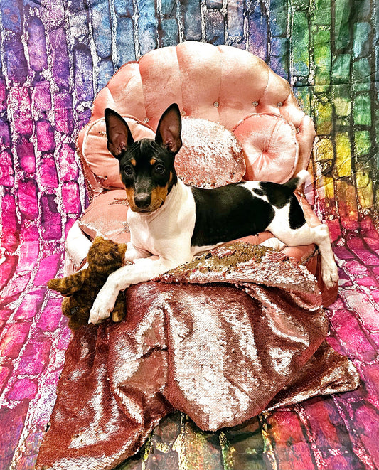 Barbie Pet Wake Up Bed, Barbie pet shell bed, heart shape pet bed