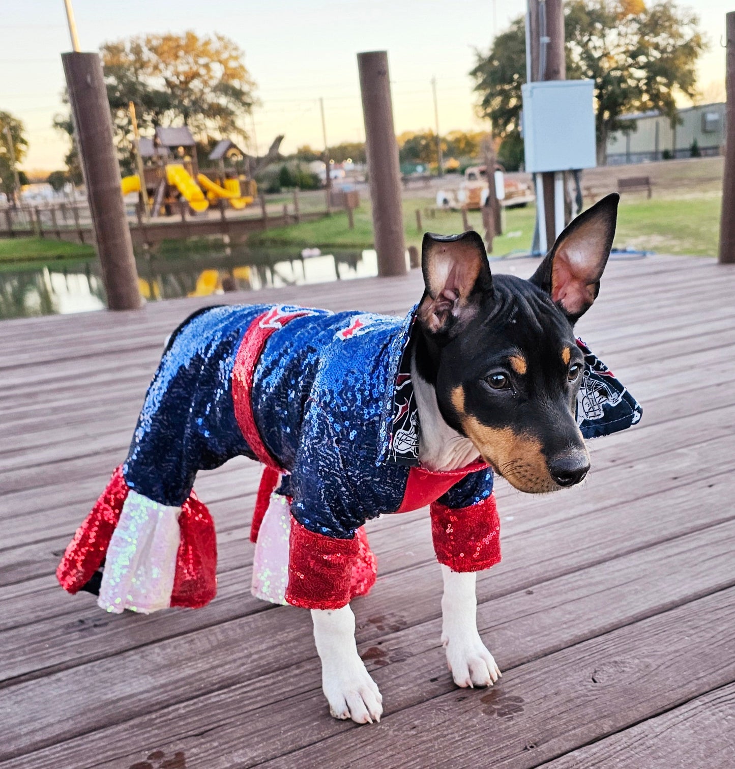 Houston Texans sequin pet suit, Texans Pet clothes, NFL sequin pet clothes, playoff pet clothes, sequin pet suit, NFL dog suit, dog texans