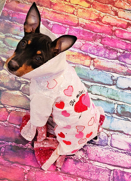 Valentine Pet Costume, Cupid Pet Costume, Cupid dog costume, Be Mine Pet Suit, Sequin pet clothes, Embroidered pet clothes, Valentine dog