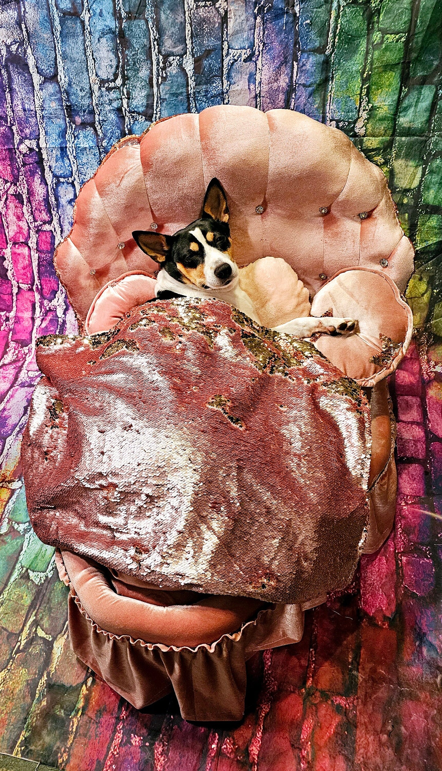 Barbie Pet Wake Up Bed, Barbie pet shell bed, heart shape pet bed