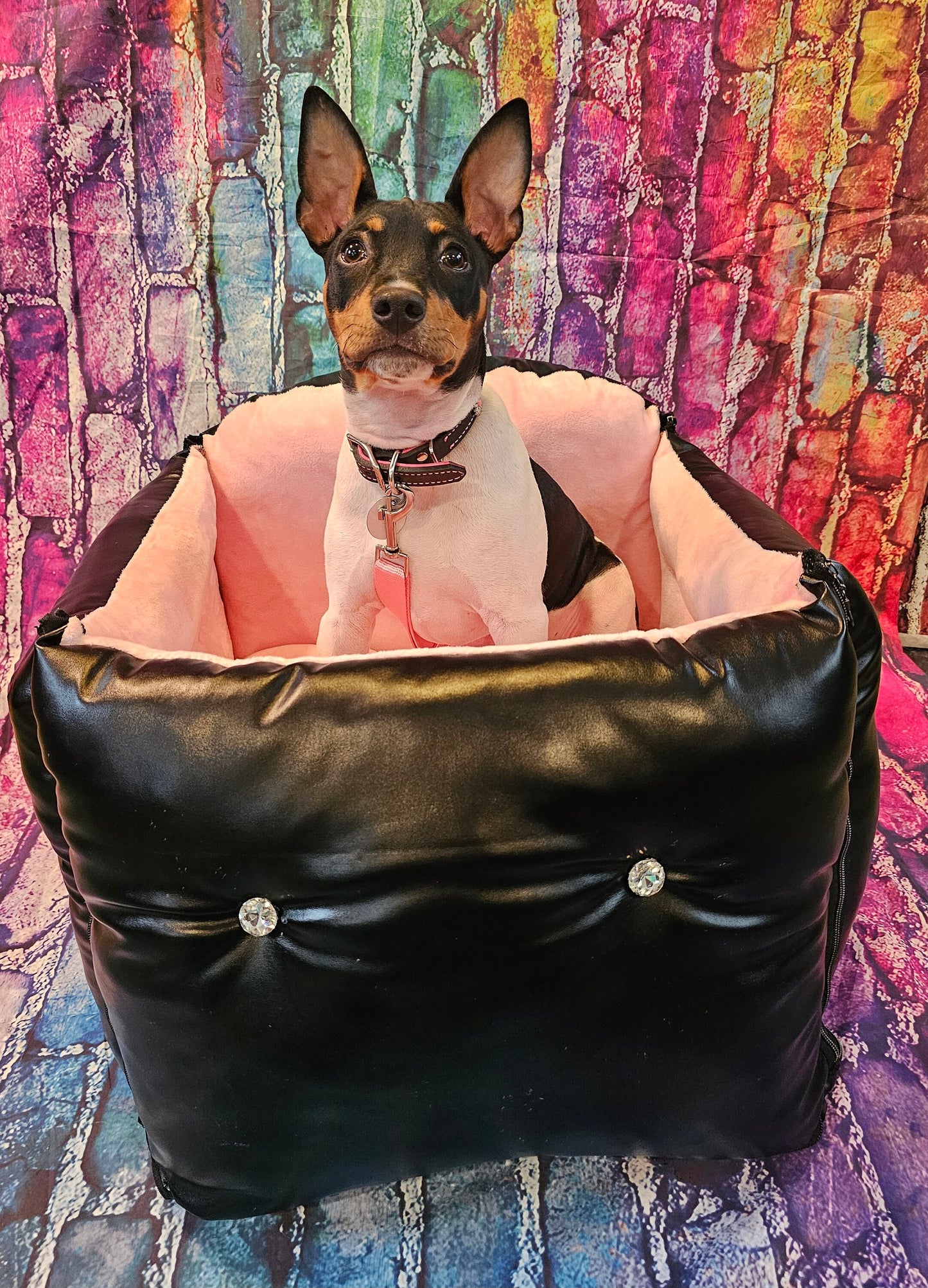 Pet booster seat, dog booster seat, car seat for pets, pet car safety seat, car set for dogs, booster dog seat, booster pet seat,car booster