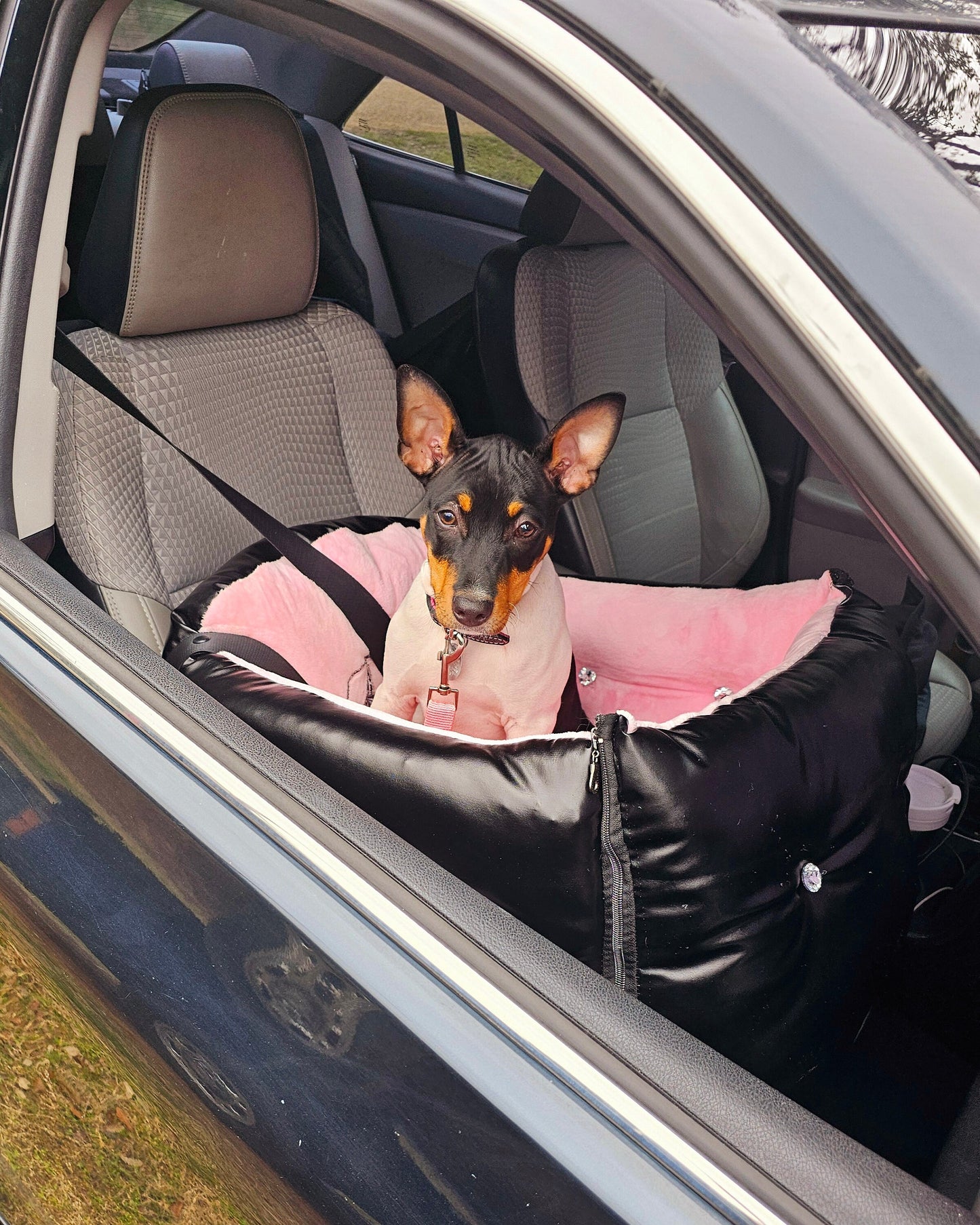 Pet booster seat, dog booster seat, car seat for pets, pet car safety seat, car set for dogs, booster dog seat, booster pet seat,car booster