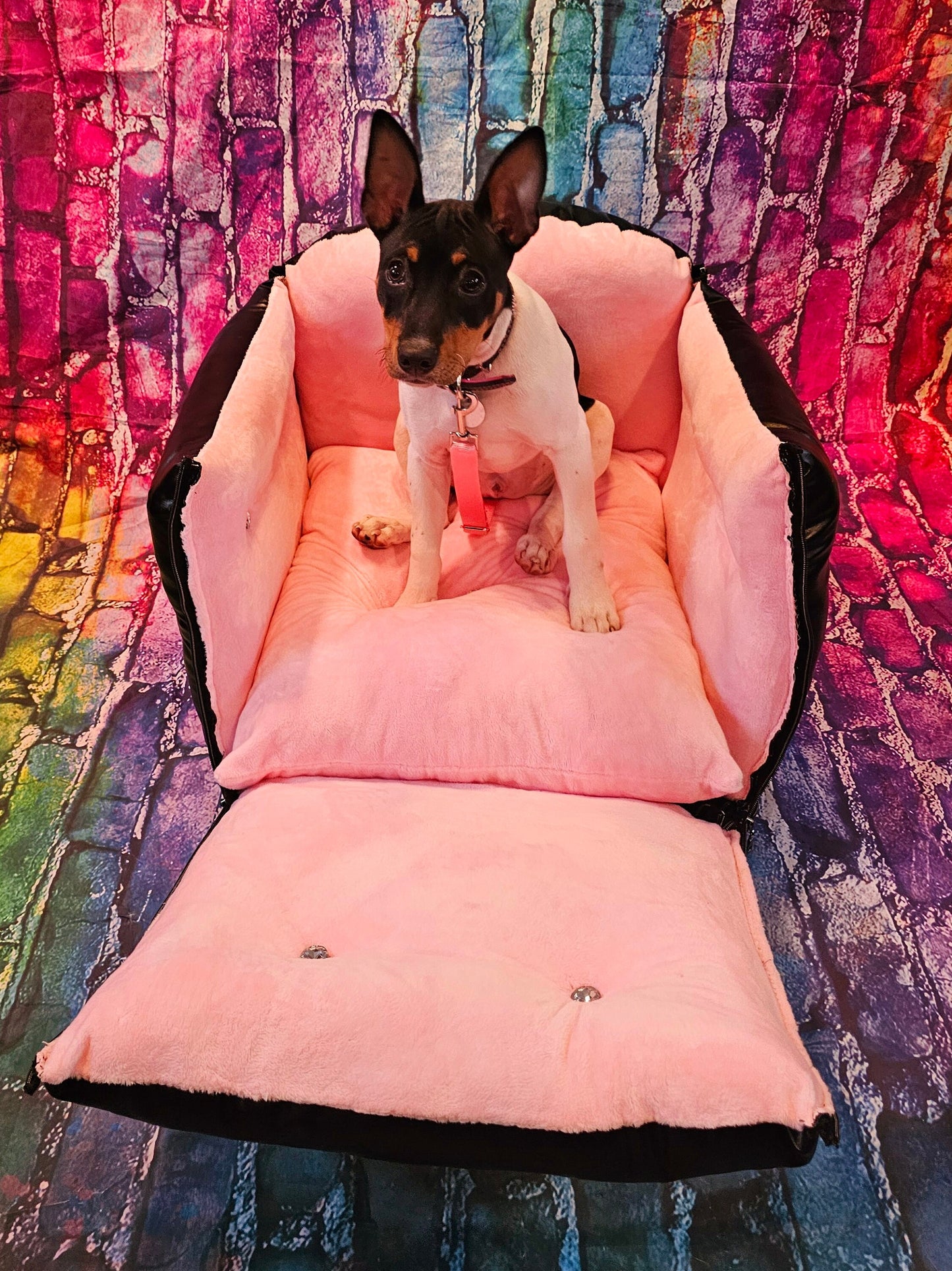 Pet booster seat, dog booster seat, car seat for pets, pet car safety seat, car set for dogs, booster dog seat, booster pet seat,car booster