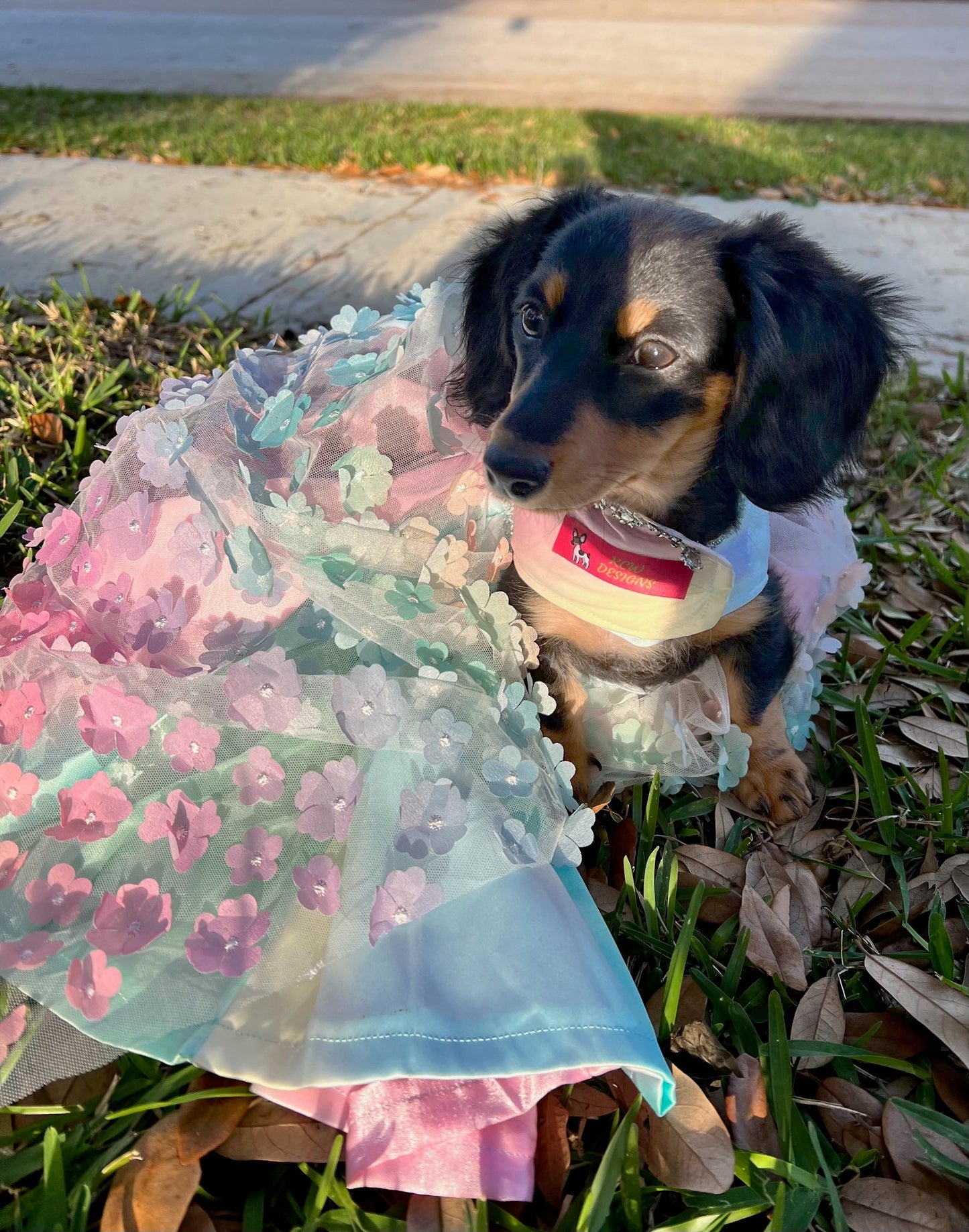 Flower pet dress, flower dog dress, flower cat dress, pastel pet dress, special occasion pet dress, couture pet dress, 3D flower pet dress