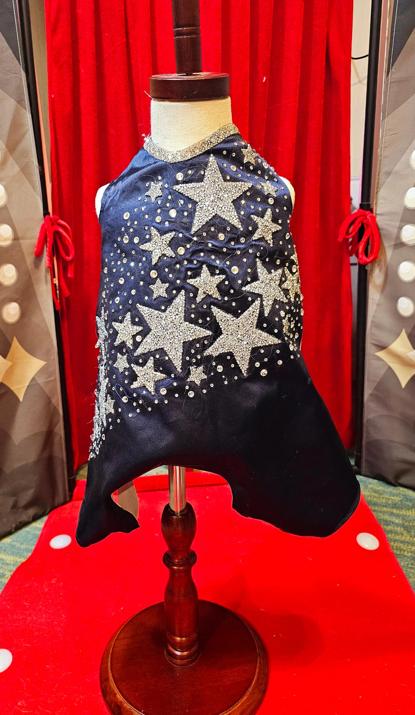 Midnight Era Pet costume, Taylor Swift Midnight Era pet costume,  Midnight Era dog costume, Midnight Era cat costume,  Taylor Swift midnight