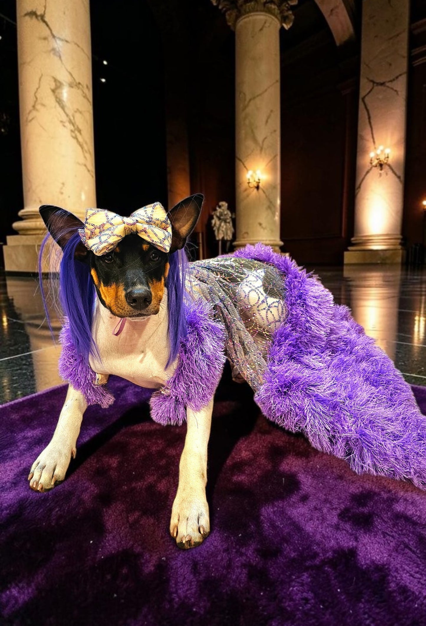 Kylie Jenner Met Gala pet costume, Kylie Jenner purple feather pet costume, met gala pet costume