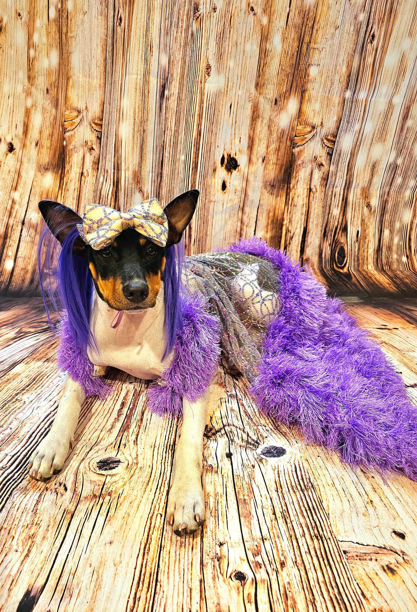 Kylie Jenner Met Gala pet costume, Kylie Jenner dog costume, Halloween Pet Costume, wig pet costume, purple wig dog costume, cat costumes