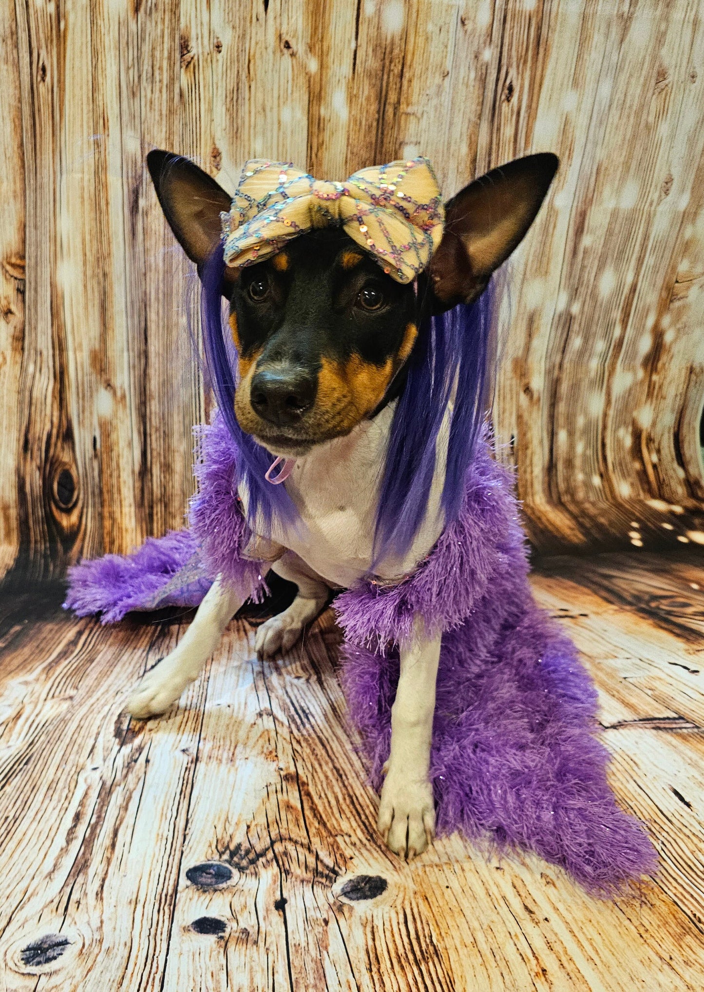 Kylie Jenner Met Gala pet costume, Kylie Jenner dog costume, Halloween Pet Costume, wig pet costume, purple wig dog costume, cat costumes