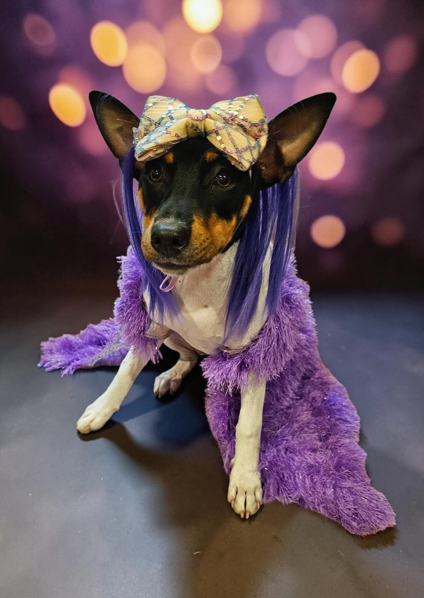 Kylie Jenner Met Gala pet costume, Kylie Jenner purple feather pet costume, met gala pet costume