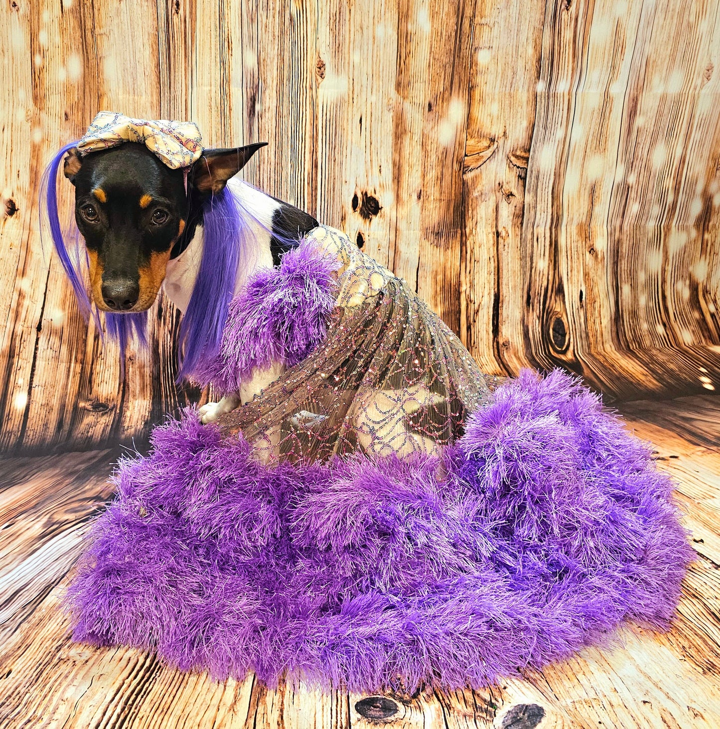 Kylie Jenner Met Gala pet costume, Kylie Jenner dog costume, Halloween Pet Costume, wig pet costume, purple wig dog costume, cat costumes