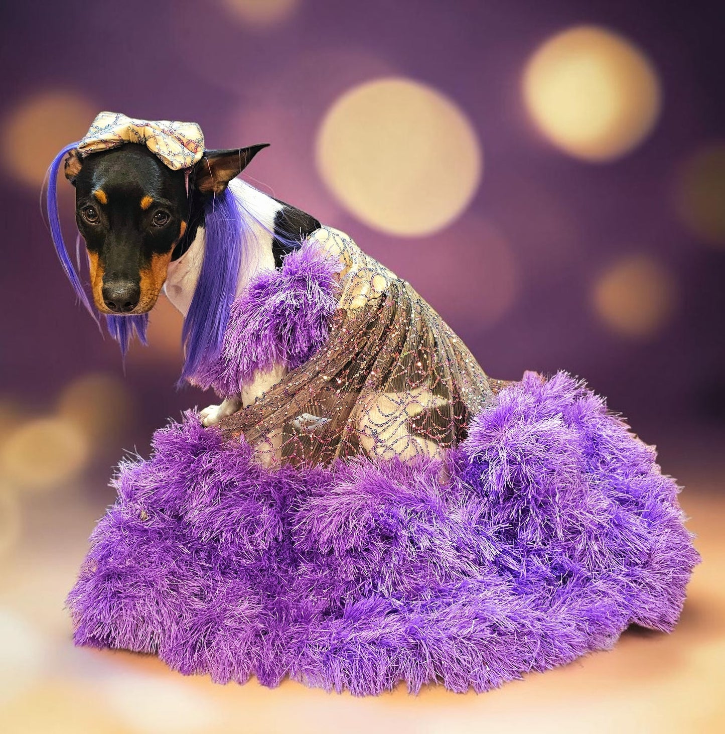 Kylie Jenner Met Gala pet costume, Kylie Jenner purple feather pet costume, met gala pet costume