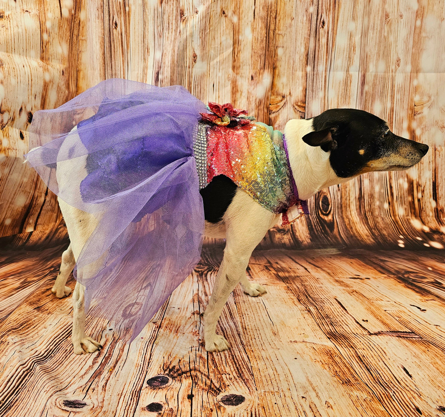 Rainbow sequin 80's Pet Prom Dress, 80's Dog prom dress, 80's cat prom dress, 80'Pet Costume, 80's pet dresses