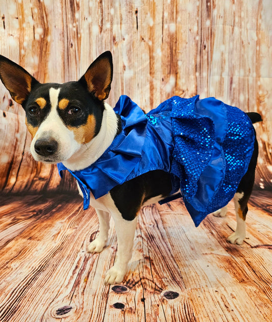 Blue 80's Pet Prom Dress, 80's Dog prom dress, 80's cat prom dress, 80'Pet Costume, 80's pet dresses, sequin pet dress, 80's prom pet