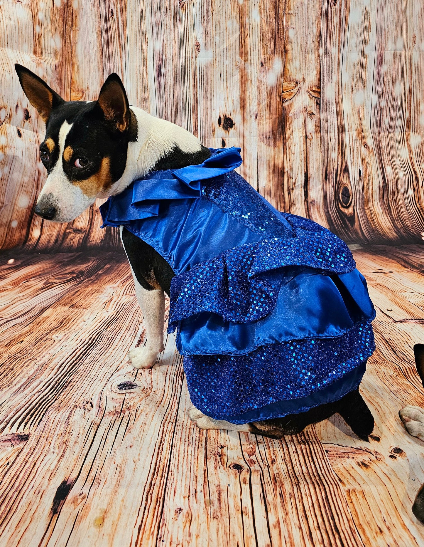 Blue 80's Pet Prom Dress, 80's Dog prom dress, 80's cat prom dress, 80'Pet Costume, 80's pet dresses, sequin pet dress, 80's prom pet