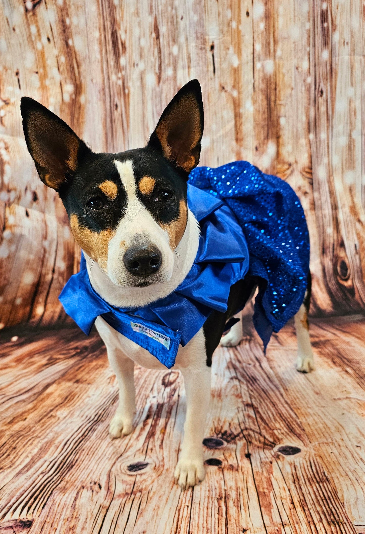 Blue 80's Pet Prom Dress, 80's Dog prom dress, 80's cat prom dress, 80'Pet Costume, 80's pet dresses, sequin pet dress, 80's prom pet