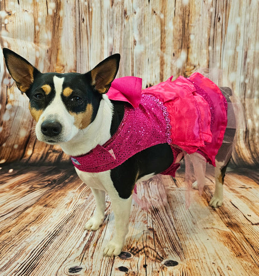 Pink 80's Pet Prom Dress, 80's Dog prom dress, 80's cat prom dress, 80'Pet Costume, 80's pet dresses, sequin pet prom dress, 80s pet prom