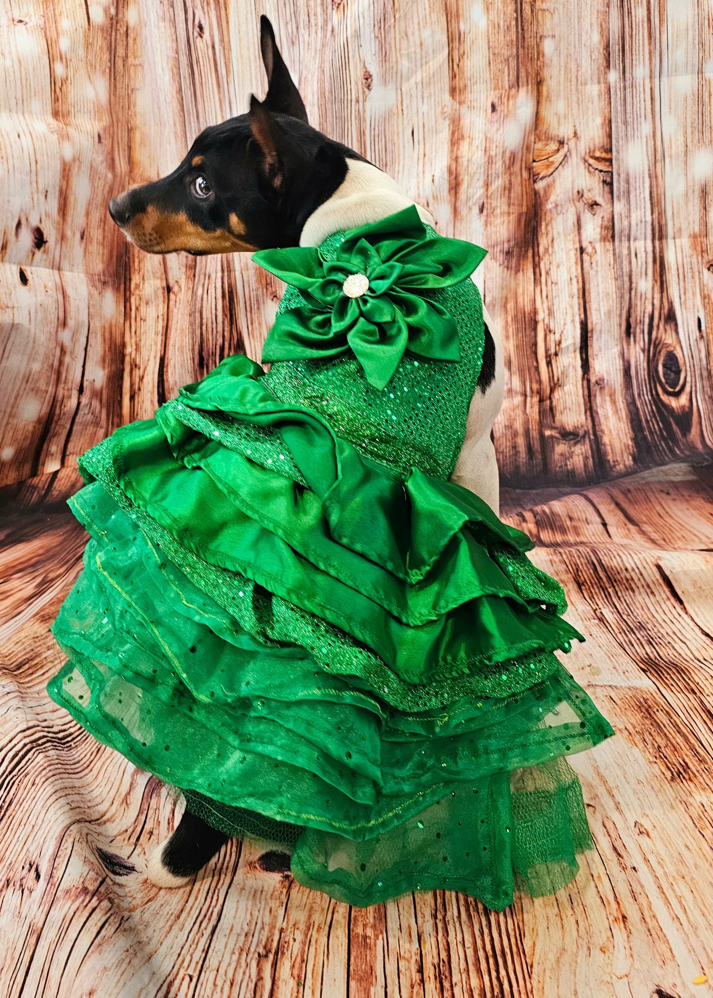 Green Christmas pet dress, green 80s prom pet dress, green dog dress, Christmas dog dress, Christmas cat dress, special occasion pet dress