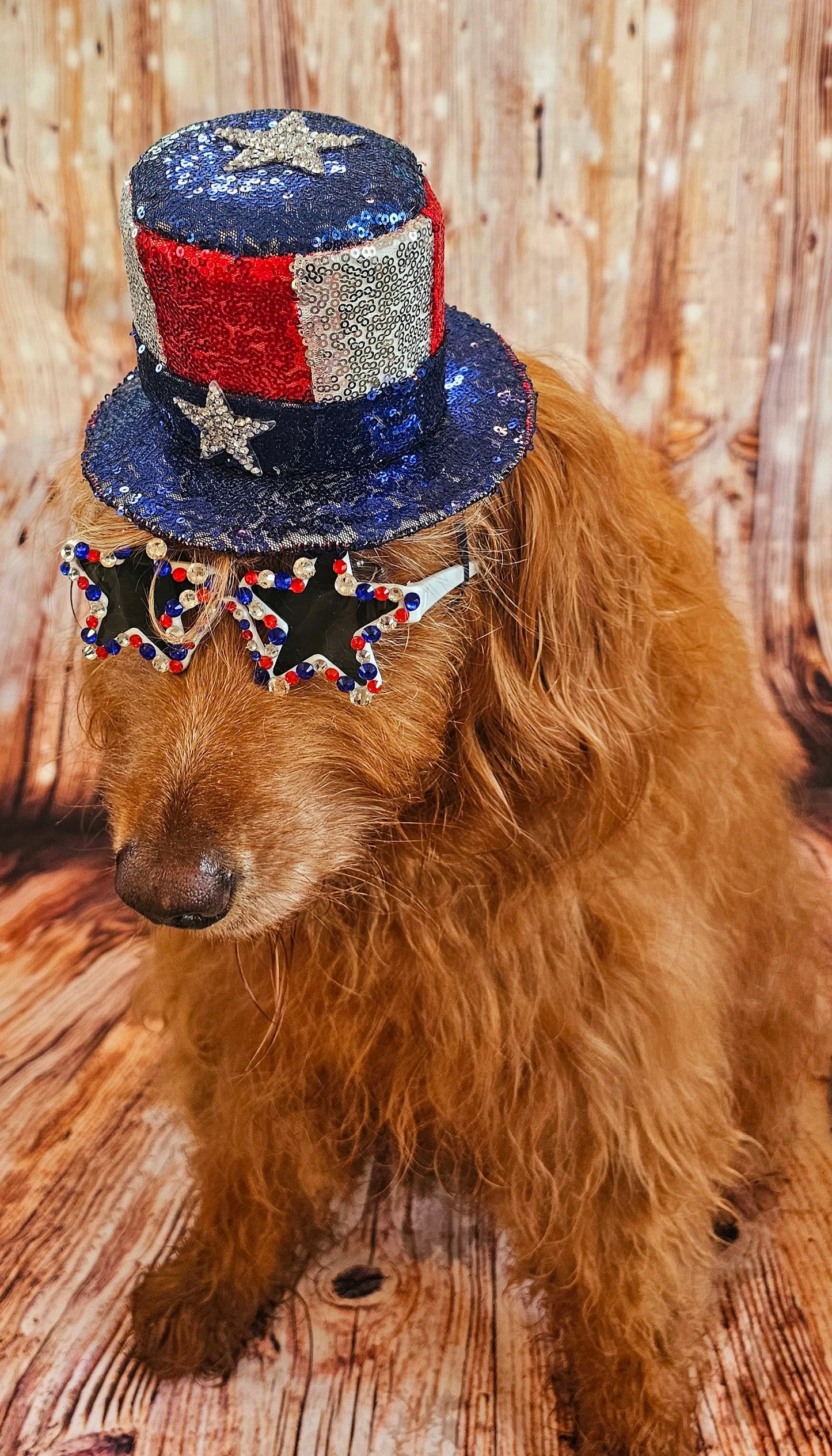 July 4th pet hat, 4th of July pet glasses, Independence day pet hat, July 4th pet hat, July 4th dog hat, July 4th dog glasses, pet hat